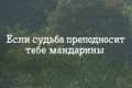 Если судьба преподносит тебе мандарины